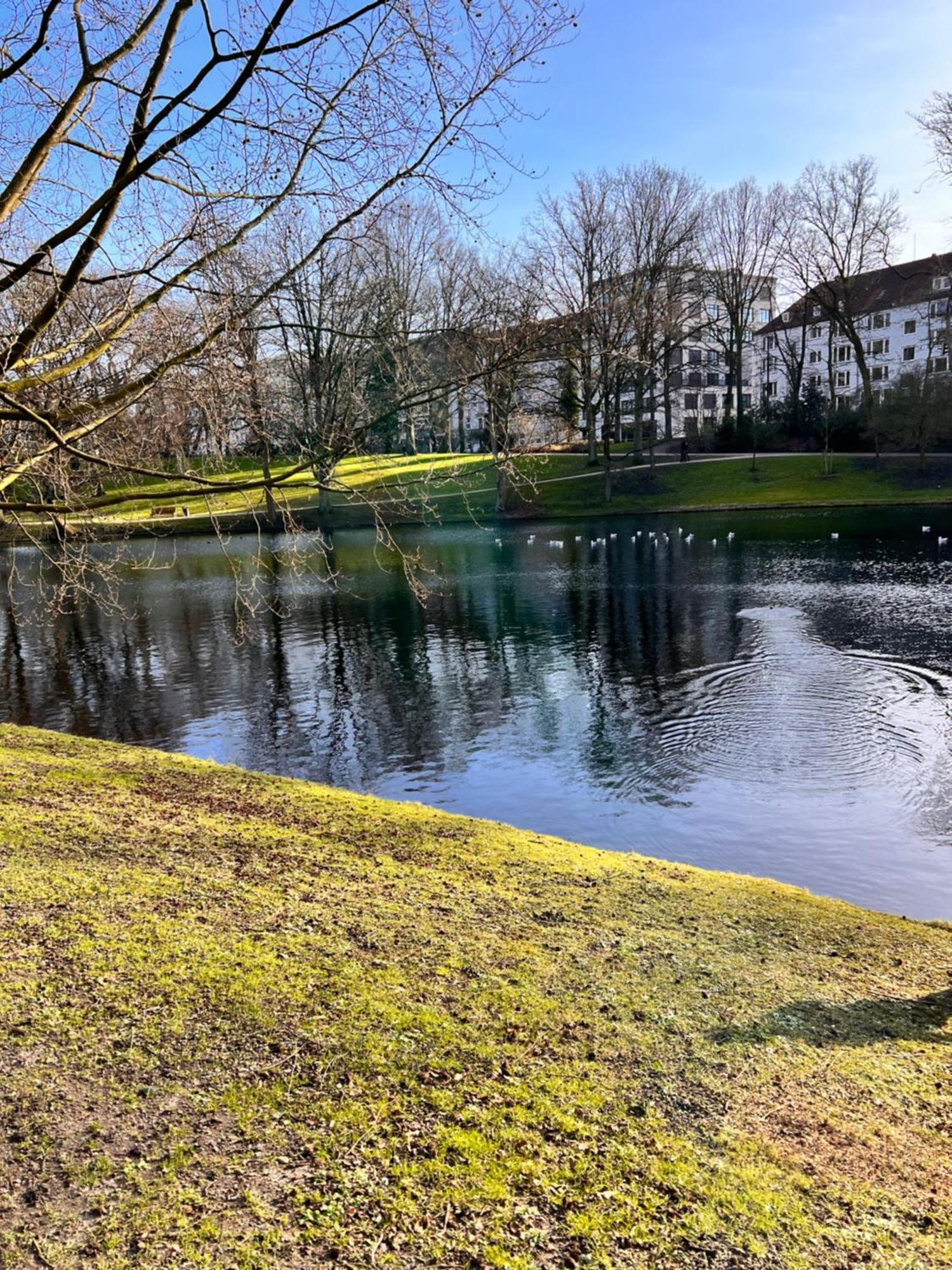 Mi Casa 3 Zimmer Geschmackvoll Zentral In Bremen Bagian luar foto
